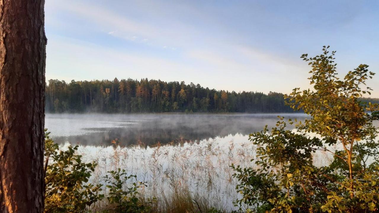 Lake apartment Visaginas Buitenkant foto
